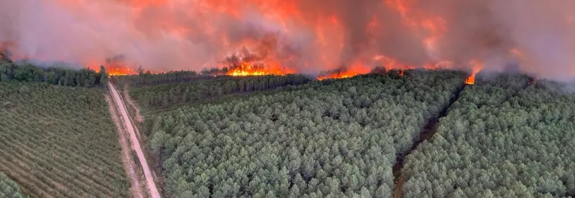 Incendii de pădure Franta