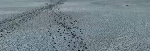 Lacul Amara a secat