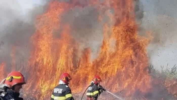 Pompierii, solicitați la maximum de incendiile de vegetație uscată