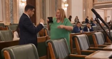 VIDEO | Ceartă în Senat, între Diana Șoșoacă și George Simion